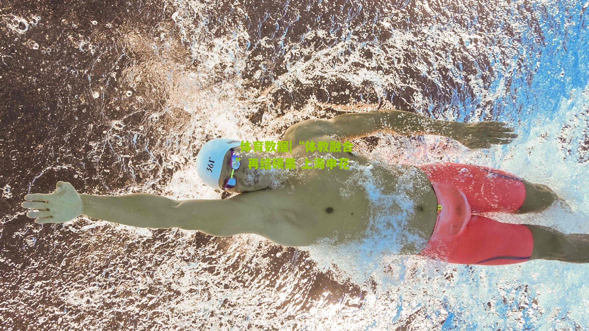 体育数据|“体教融合”再结硕果 上海申花