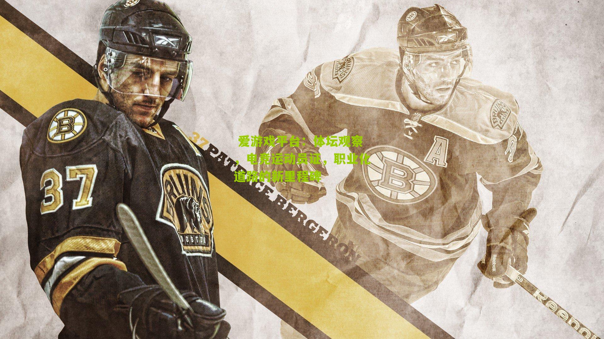 爱游戏平台:体坛观察,电竞运动员证,职业化道路的新里程碑